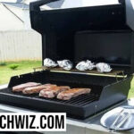 16 Best Tabletop Propane Gas Grills 2024: [Also Charcoal & Electric]