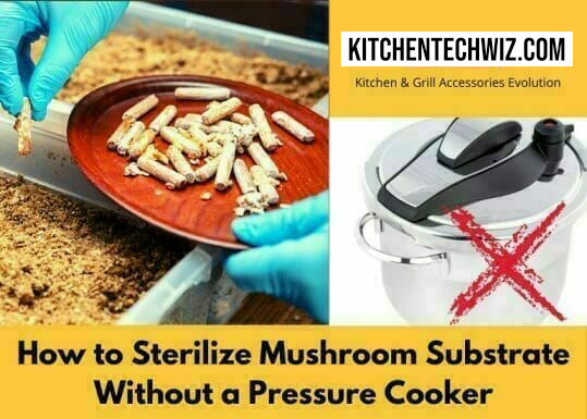 How to Sterilize Mushroom Substrate Without a Pressure Cooker