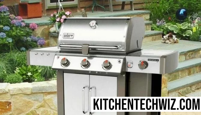 How To Convert Weber Grill To Natural Gas?