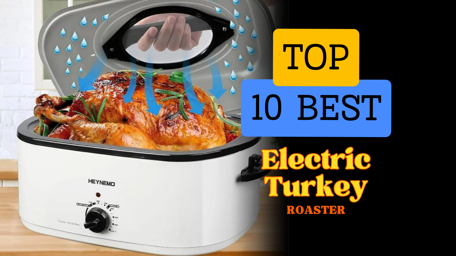 Best Electric Turkey Roaster